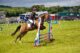 UK horse racing and betting guide
