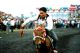 international horse betting trends