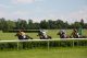 horses racing UK