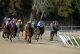 UK racing fixtures